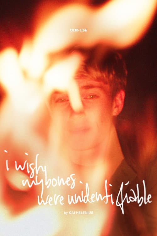 Постер: I Wish My Bones Were Unidentifiable