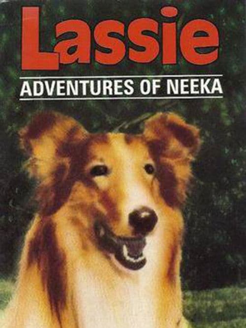 Постер: Lassie: The Adventures of Neeka