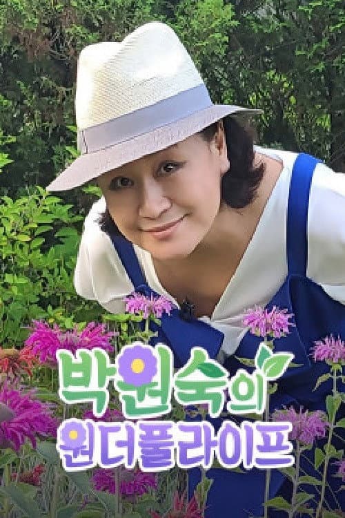 Постер: 박원숙 원더풀라이프