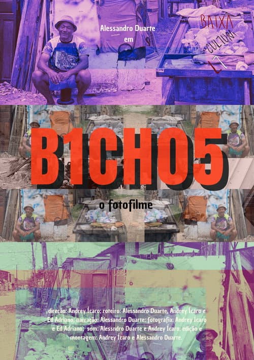 Постер: B1CH05