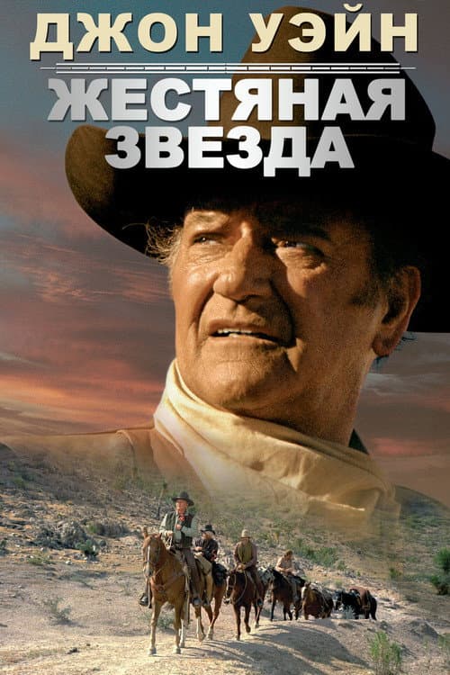 Постер: Жестяная звезда