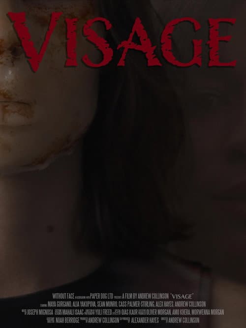 Постер: Visage