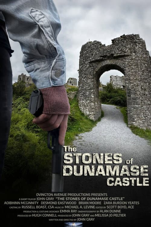 Постер: The Stones of Dunamase Castle
