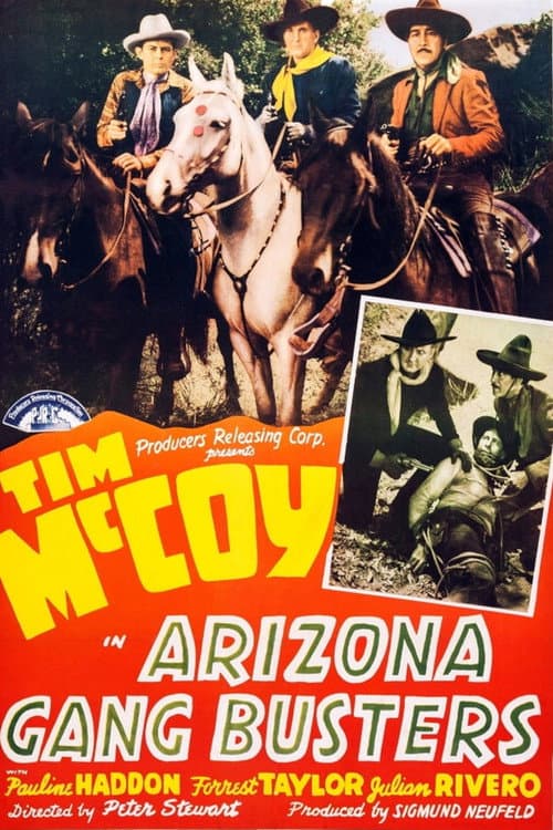 Постер: Arizona Gang Busters