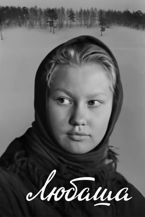 Постер 5