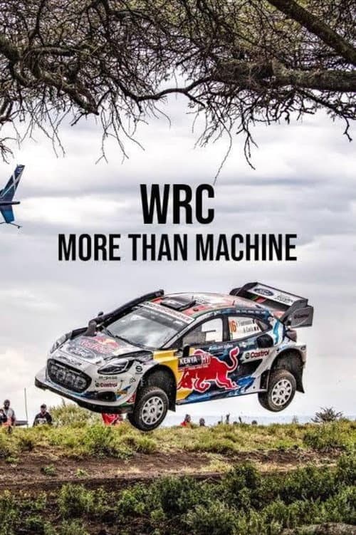Постер: More Than Machine