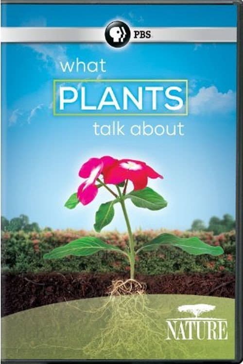Постер: What Plants Talk About