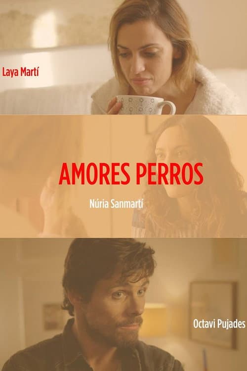 Постер: Amores perros