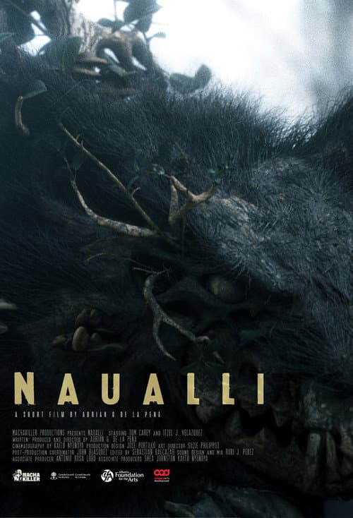Постер: Naualli