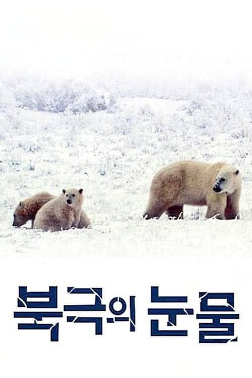 Постер: 북극의 눈물