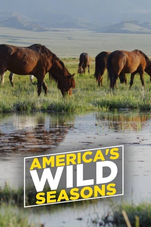 Постер: America's Wild Seasons