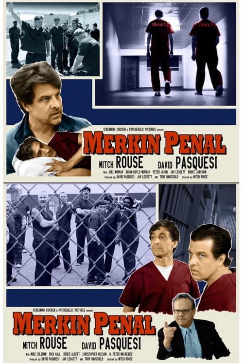 Постер: Merkin Penal