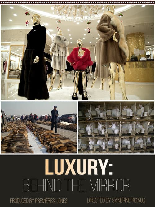 Постер: Luxury: Behind The Mirror