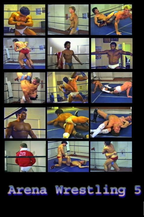 Постер: Arena Wrestling 5