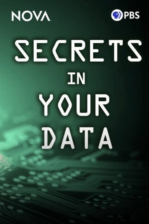 Постер: Secrets in Your Data