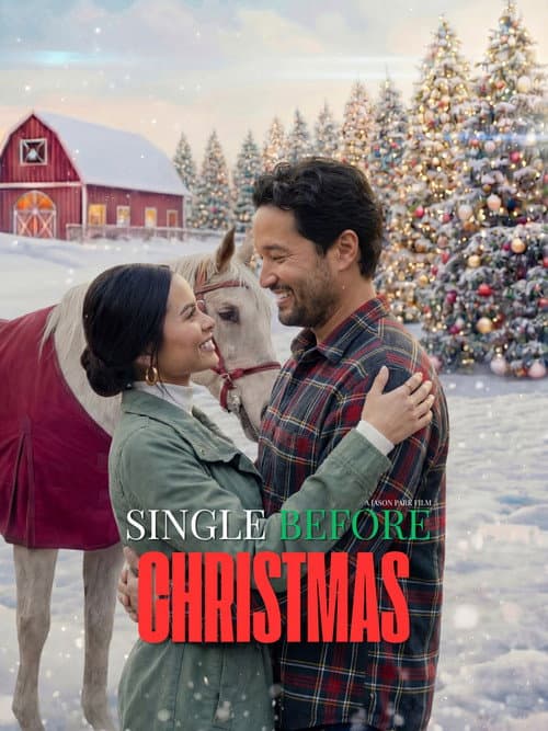 Постер: Single Before Christmas