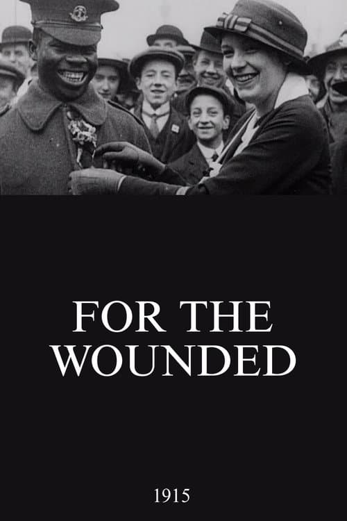 Постер: For the Wounded