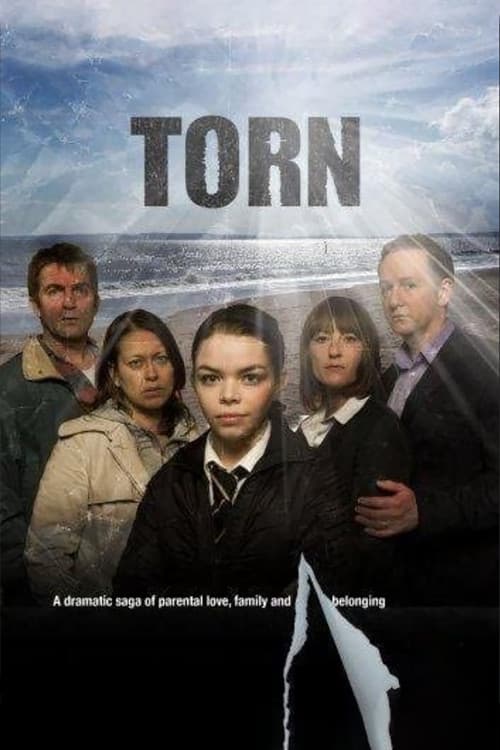 Постер: Torn