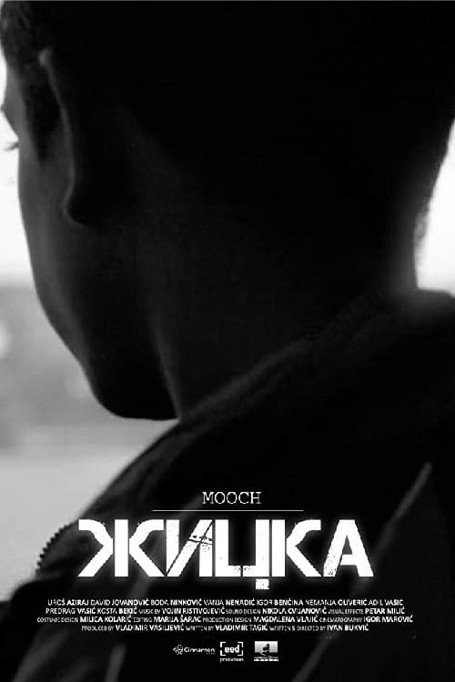 Постер: Žicka