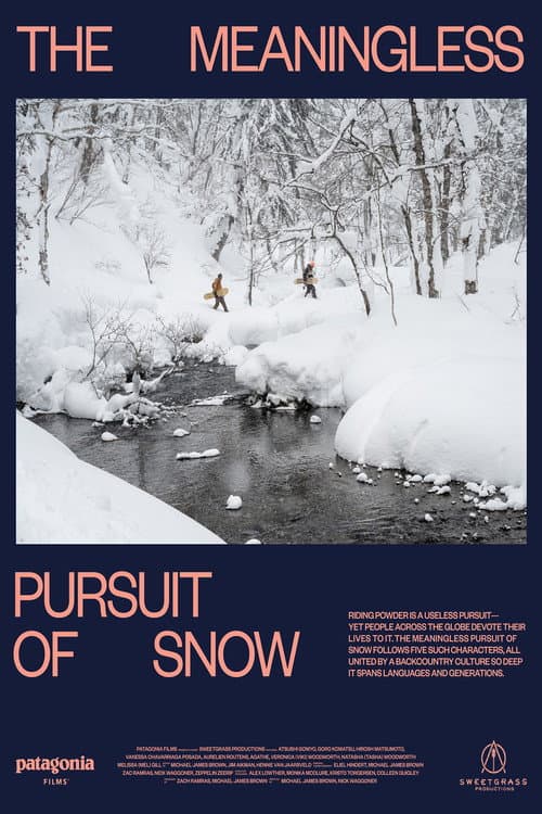 Постер: The Meaningless Pursuit of Snow