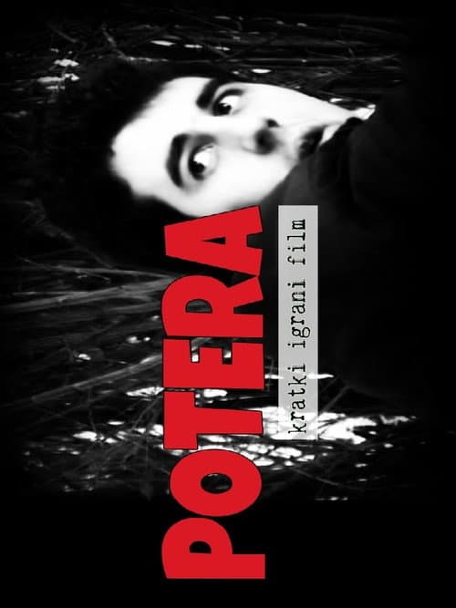Постер: Potera