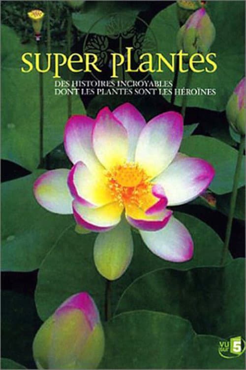 Постер: Super plantes