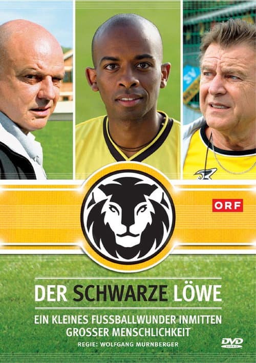 Постер: Der schwarze Löwe