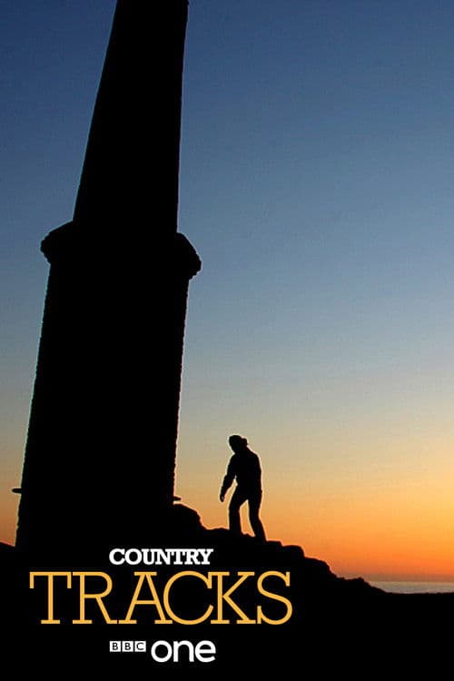 Постер: Country Tracks