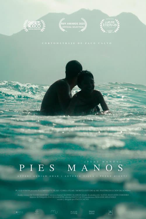 Постер: Pies, manos