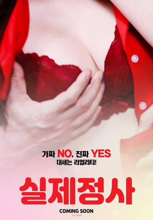Постер: 실제정사