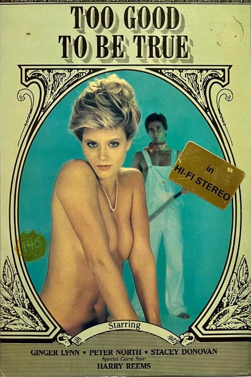 Постер: Too Good to Be True