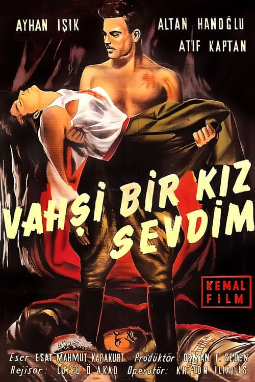 Постер: Vahşi Bir Kız Sevdim