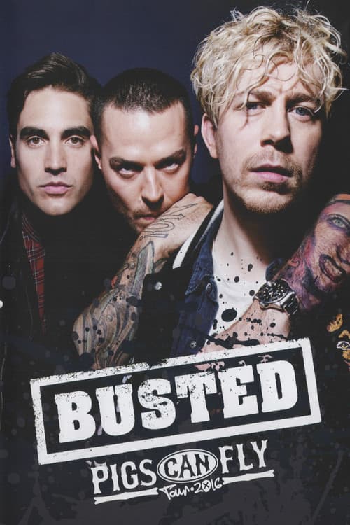 Постер: Busted: Pigs Can Fly Tour 2016