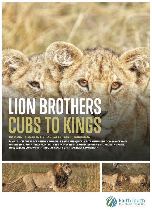 Постер: Lion Brothers: Cubs to Kings