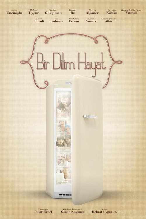 Постер: Bir Dilim Hayat