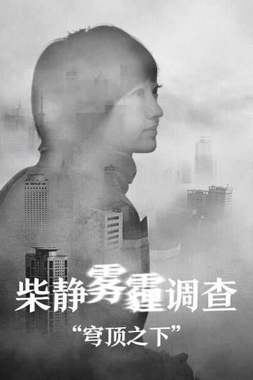 Постер: 穹顶之下