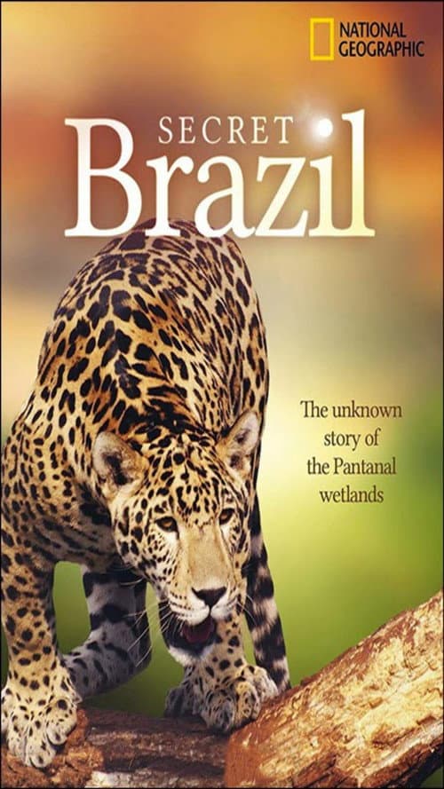 Постер: Secret Brazil – National