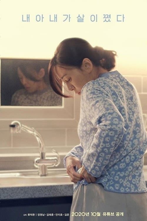 Постер: 내 아내가 살이 쪘다