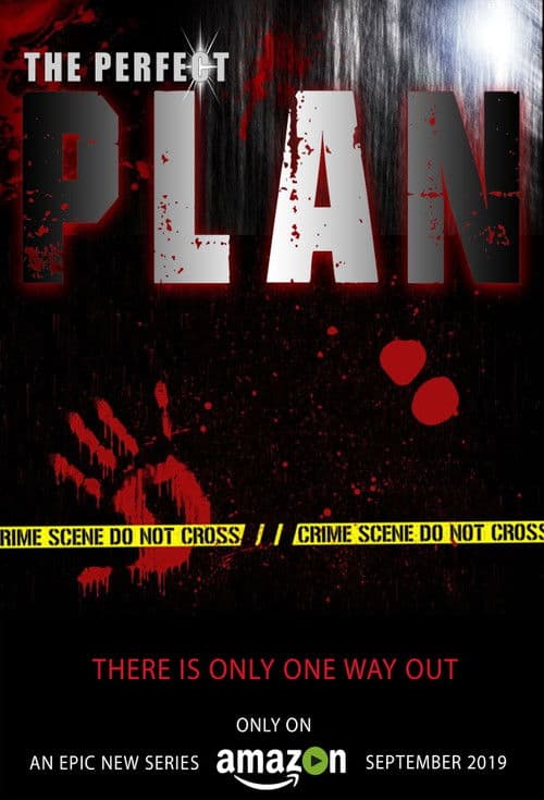 Постер: The Perfect Plan