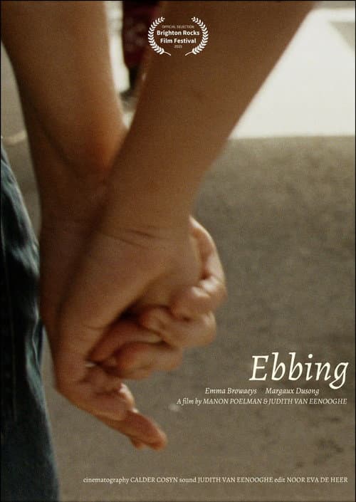 Постер: Ebbing