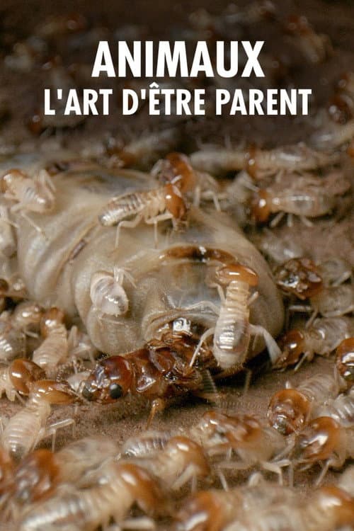 Постер: Wilde Eltern