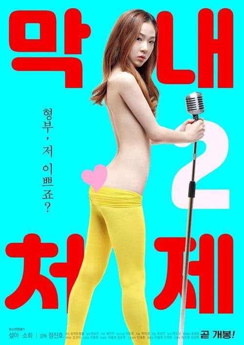 Постер: 막내 처제 2