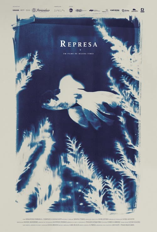 Постер: Represa