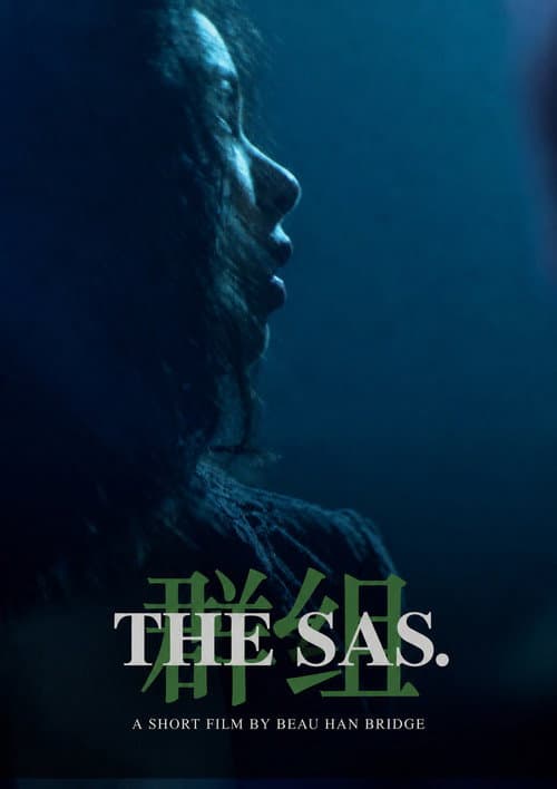 Постер: The SAS