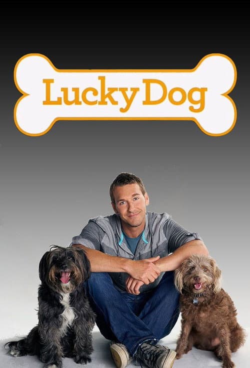 Постер: Lucky Dog