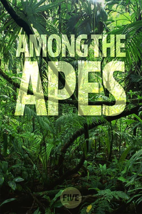 Постер: Among the Apes