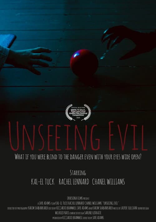 Постер: Unseeing Evil