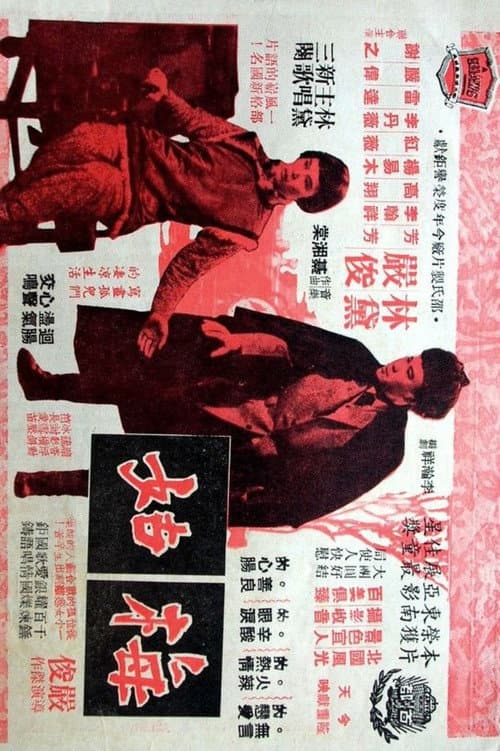 Постер: 梅姑