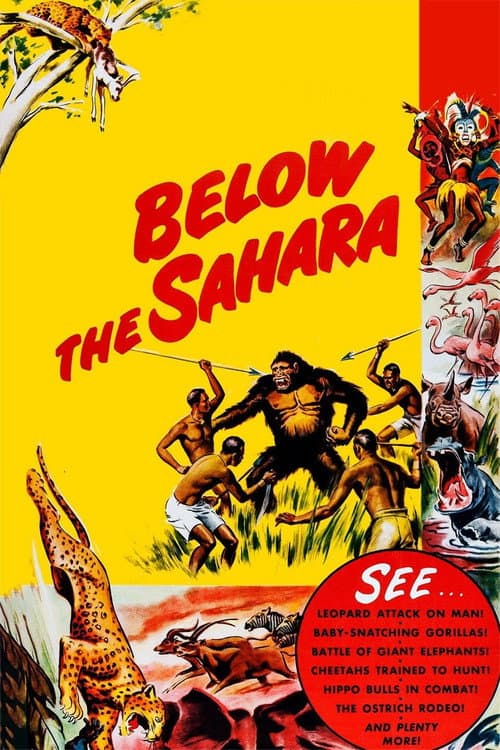 Постер: Below the Sahara