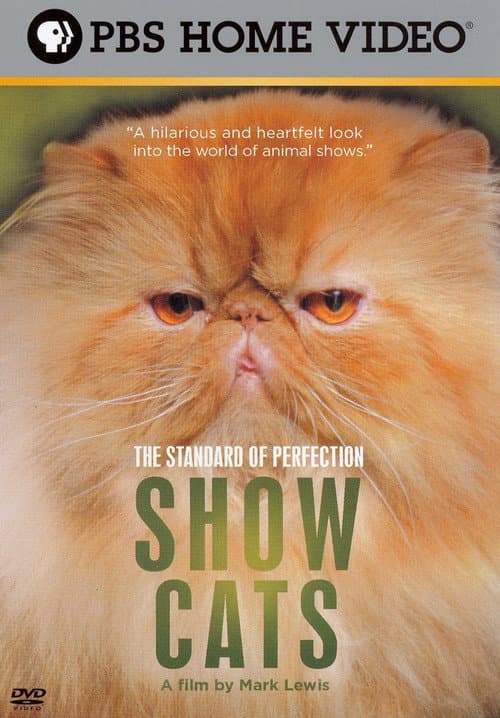 Постер: The Standard of Perfection: Show Cats